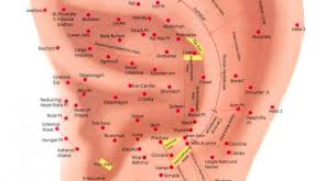 Auricular Acupuncture Mooresville Nc Dudley Chiropractic