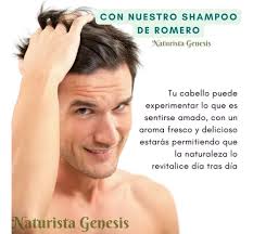 Shampoo De Romero Anticaída & Crecimiento 500 Ml