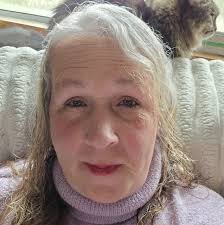 Found cats in East Kildonan area of Winnipeg