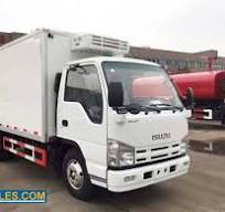 ISUZU 100P 6 Wheeler Vegetable Transport Freezer ...