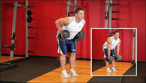 The setup is similar to the chest supported dumbbell rows. Bent Over Dumbbell Row Seated Cable Row Alternative Garage Gyms