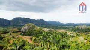 Check spelling or type a new query. Vinales Kuba Indicuba Com