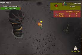 15% drop rate 5% double drop rate mystery box pet: 317 Valius Your 1 Custom Osrs Server 3 Raids Total The Gauntlet Coming Soon Page 24