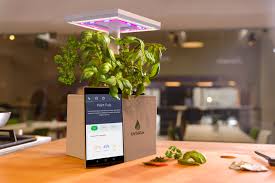 Get complete garden information including how to home garden design , container garden , garden lawns , best garden vegetable & flower, garden maintenance. Meet Urbigo Your First Smart Home Garden From Startupyard Batch X Startupyard