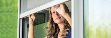 Insektenschutz Fenster Fliegengitter Fenster Insektenschutzrollo