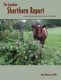 For a letter, use the address 4806 50 ave #a, bonnyville, alberta t9n 2j1. The Canadian Shorthorn Report Herd Reference 2020 By Saskangus Issuu