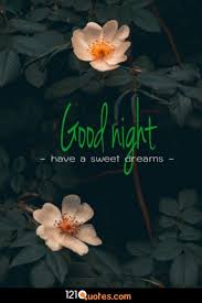 500 Beautiful Good Night Images Best Collection Good night my love gifs download; 500 beautiful good night images best