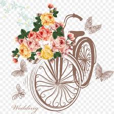 These flowers look adorable in a hanging basket, and are perfect if you are looking to hang your how to care for a rubber plant. Bicycle Basket Flower Stock Photography Png 1553x1554px Bicycle Art Bicycle Baskets Creative Arts Cut Flowers Download