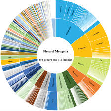 Image result for Thesium megalocarpum