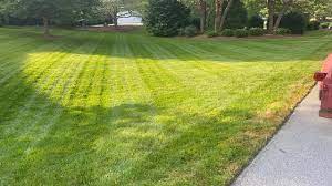 They provide you with a turf laying service to give you a beautiful lawn in no time at all. Stafford Lawn Maintenance Home Facebook