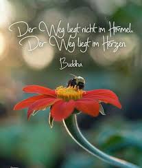 Pin Von Reiner Paul Auf Besondere Spruche Weisheiten Spruche Lebensweisheiten Spruche Nachdenkliche Spruche