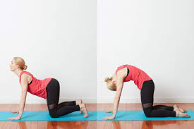 yoga poses that help stop headaches