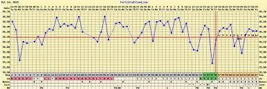 Is Ff Wrong I Just Dont Get It Ttc With Pcos