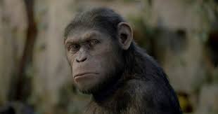 The Amazing Race: Taking The Temperature Of The Race After The Oscar  Nominations & Guild Awards