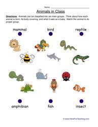 Animals Worksheet Animal Classification Animal Worksheets Have Fun Teaching
