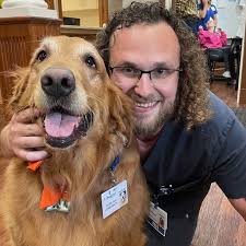 Happy National Dog Day!🐶🐾 Today we celebrate our beloved companions,  Maggie and Beethoven — bringing joy, comfort, and wagging tails to everyone  they meet. 💙🐶