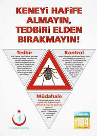 kene nedir kene ilaclama avcilar kene ilaclama beylikduzu kene ilaclama esenyurt kene ilaclama bocek fareler avcilar