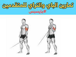 تمارين الباي والتراي بالصور in 2021 arm workout ballerina art super sets