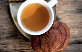 Image result for Ganoderma lucidum
