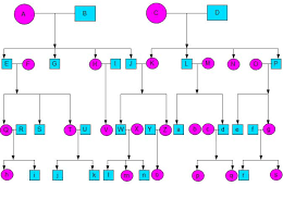 Family Tree Templates For Children Create A Family Tree
