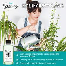 Support your overall health with top quality nutraceuticals. Bloomingo Indoor Plant Food Vine Wine All Purpose Liquid Houseplant Fertilizer Natural Norwegian Seaweed Extract For Healthy Plants And Soil 8 Oz Buy Online In Faroe Islands At Faroe Desertcart Com Productid 159042978