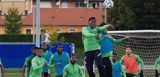 Javier fernández sánchez / getty images. Qatar 2022 11 Super Eagles Train In Lagos 17 Expected Punch Newspapers