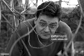 181 Novellist Stock Photos, High-Res Pictures, and Images