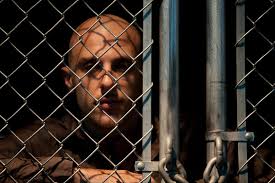 Filmografie Nickola Shreli