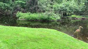 Muckmaid® is also easy to apply. Muck Eater Bio Health Pod Private Pond Installation Facebook