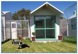152 likes · 7 talking about this. Shadow Estate Luxury Boarding Kennels Canterbury New Zealand Dog Hotel Dog Boarding Near Me Luxury Dog