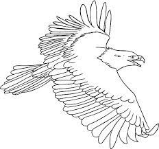 We did not find results for: Harpy Eagle Coloring Pages For Kids Coloring Sun Eagle Drawing Eagle Painting Animal Coloring Pages