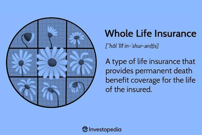 How Whole Life Insurance Works