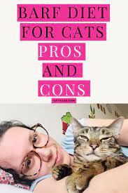 Pin On It S A Cat S World