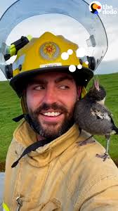 Firefighter Raises A Baby Magpie And Introduces Her To His Cat
