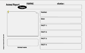 Animal Report Template For Kids Animal Report Animal Report Template Book Report Templates