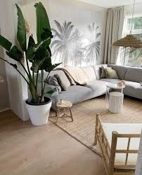 We ship nationwide, with free delivery in nyc and nj. Bird Of Paradise Complete Care Guide That Planty Life