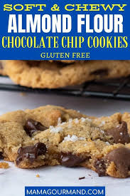 Chewy Almond Flour Chocolate Chip Cookies Recipe Almond Flour Chocolate Chip Cookies Cookies Recipes Chocolate Chip Chocolate Chip