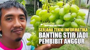 Berhasil Kembangkan Bibit Anggur Import, Dapat Cuan Tiap Hari dari Internet  ‪@dokproject‬