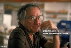 159 Susan Bernstein Photos & High Res Pictures