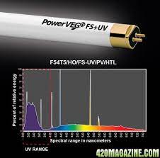 The agromax pure par veg bulb is a state of the art vegetative t5ho that uses advanced phosphor technology to concentrate output in the peak photosynthetically active radiation (par) wavelengths for vegetative growth. Have You Seen What Hortilux Has Done With T5s 420 Magazine