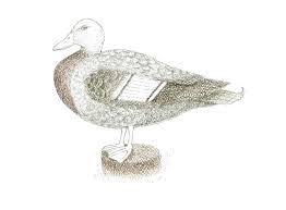 Over the centuries, ink has been used in many different types of art, from in modern times, these drawings are used largely for illustration, whether for advertisements, editorial cartoons, or comics. How To Draw A Duck With Ink And Water Soluble Tinted Graphite Pencils