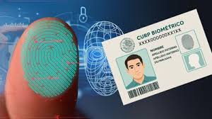 El Financiero - News update