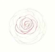 This will form the start of your rose head. How To Draw Roses An Easy And Complete Step By Step Drawing Demo