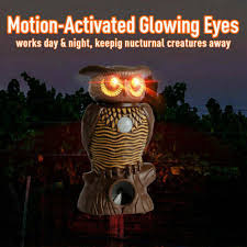 To repel rather than capture pest animals, consider buying an animal repellent. Owl Alert Motion Activated Security Statue As Seen On Tv With Light Up Eyes Buy At A Low Prices On Joom E Commerce Platform