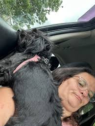 Mobile dog groomers for anxious pets?