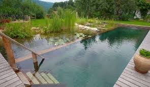 Natural Shipping Container Swimming Pool Natural Swimming Ponds Natural Swimming Pools Natural Pool