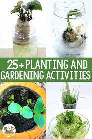 Discover the amazing world of plants. 25 Planting And Gardening Activies For Preschoolers