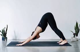 Esas olarak dışa dönük insanlar tarafından tercih edilmiştir. Hatha Yoga 101 Live To Bloom