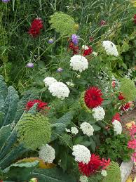 Le Jardin Des Serres D Auteuil En Ete Paris Cote Jardin Jardins Jardin Botanique Jardin D Acclimatation