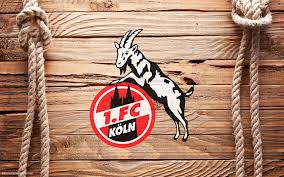 Eps, png file size : 1 Fc Koln Wallpapers Hd Hintergrundbilder